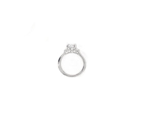 14KW 0.25TW Diamond Engagment Ring